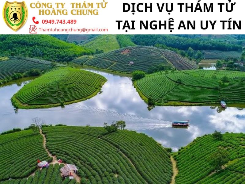 dich vu tham tu tai nghe an uy tin 1
