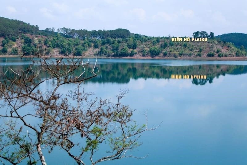 Dịch vụ thám tử tại Gia Lai-Pleiku uy tín, bảo mật và hỗ trợ nhanh chóng.
