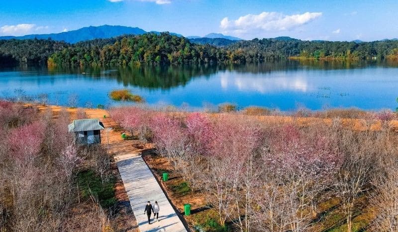 thám tử hoàng chung theo dõi ngoại tình chuyên nghiệp tại Điện Biên, bằng chứng rõ ràng
